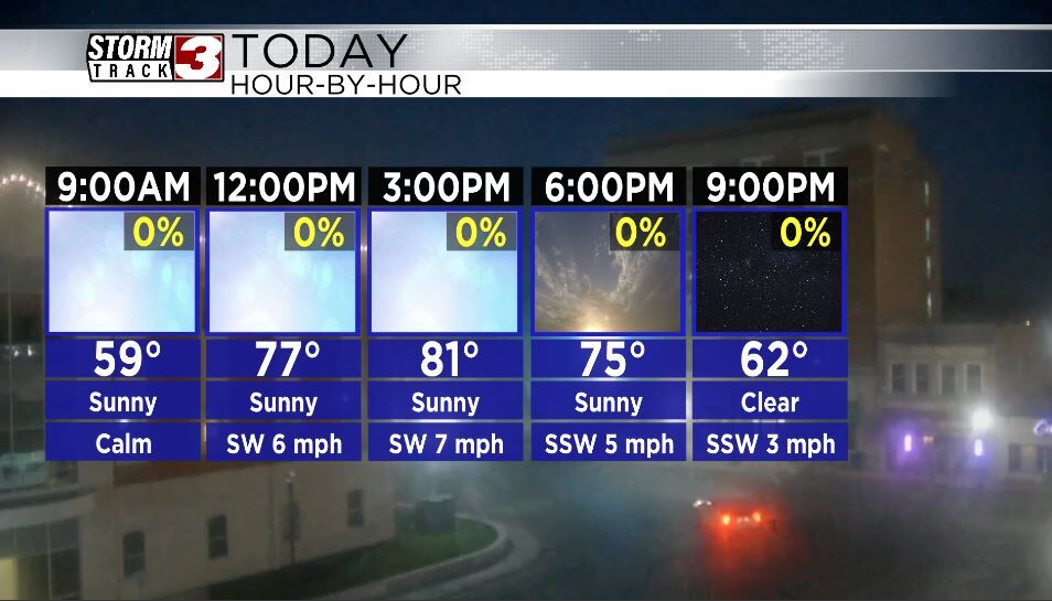 Hourly Forecast